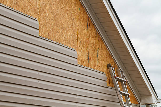 Professional Siding technician working in Star Tannery, VA